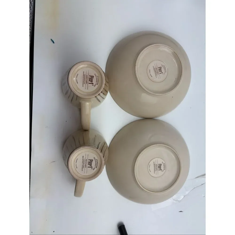 Pier 1 Sanctuary Stoneware Latte Mug & Soup/Pasta Bowl Set of 2 Place Settings